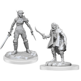 D&D Nolzur's Marvelous Unpainted Minis: W19 Elf Rogue & Half-Elf Rogue Protege